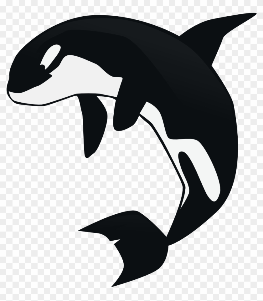 Killer Whale Clipart Transparent Background #714588