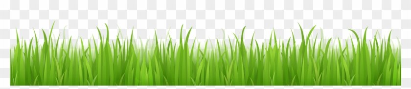 Lawn Clipart Transparent - Grass With No Background #714590