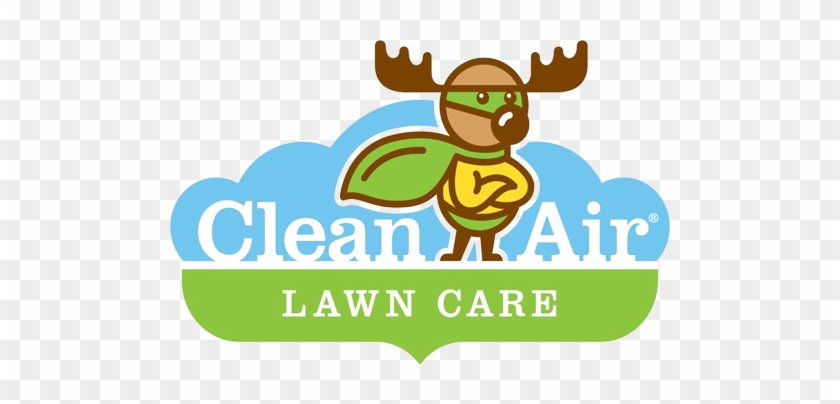 Starting A Green Business, Lawn Mowing Franchise - Lawn #714644