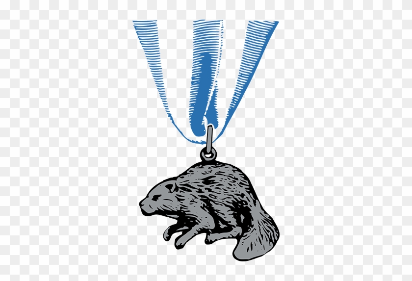 Silver-beaver - Scouting's Silver Beaver Award #714796