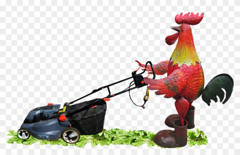 Lawn Mower Cartoon 7, Buy Clip Art - Rooster Mowing Lawn #714815