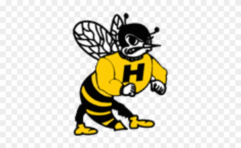 Harvard Logo - Harvard Hornet #714913