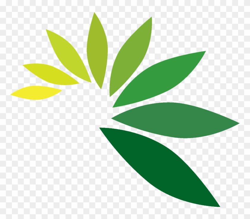 Green Leaf Logo Png #715020