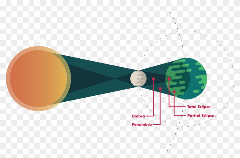 Here, Brush Up On The Science Behind The Eclipse, Learn - Circle #715033