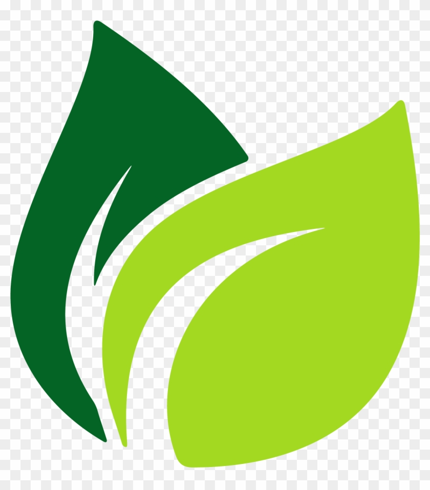 Leaf Logo - Banana Leaves - Leaf Logo Vector Png #715042