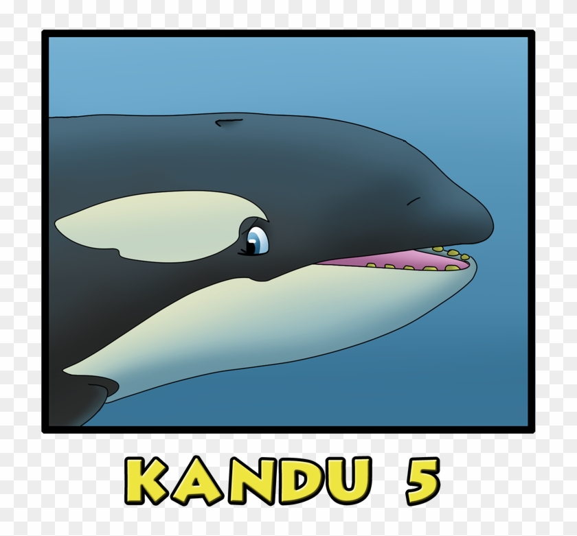 Picture - Kandu 5 Orca #715045