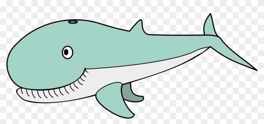 Humpback Whale Killer Whale Drawing Clip Art - Humpback Whale Killer Whale Drawing Clip Art #715087