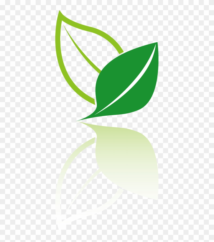 Tea Logo Icon - Ícone Folha Png #715074