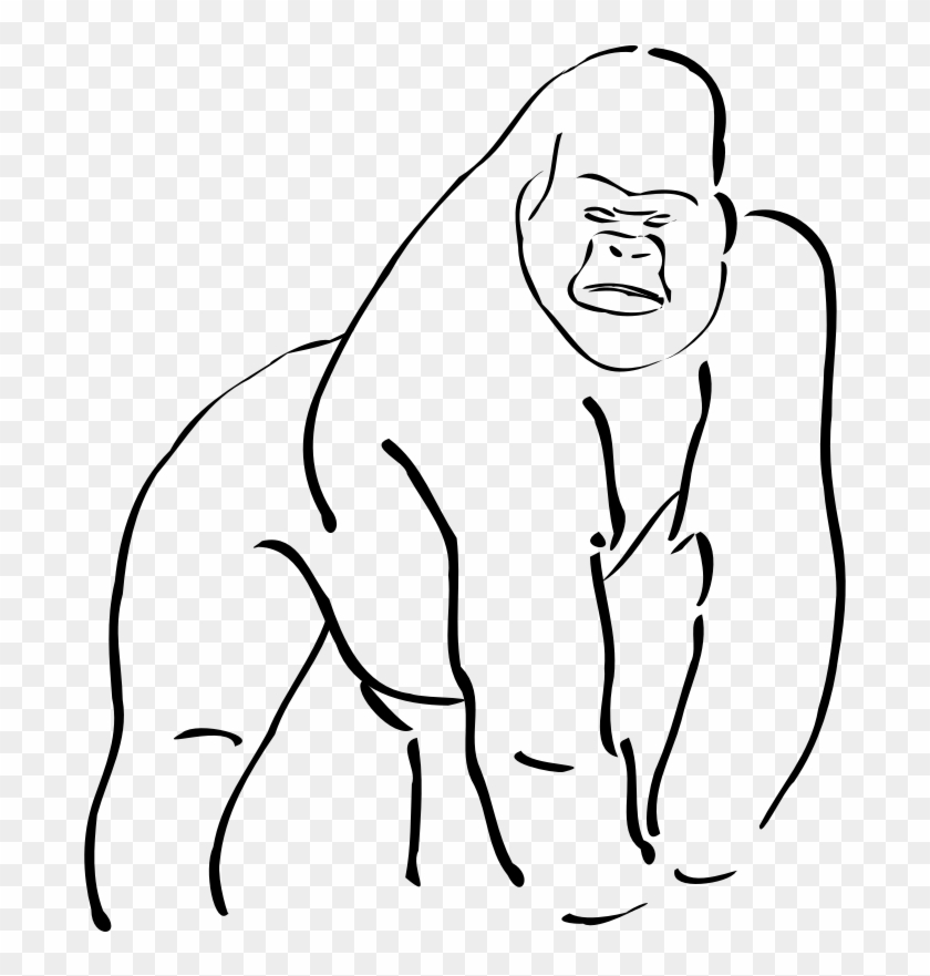 Clipart - Gorilla - Sketch Of A Gorilla #715078