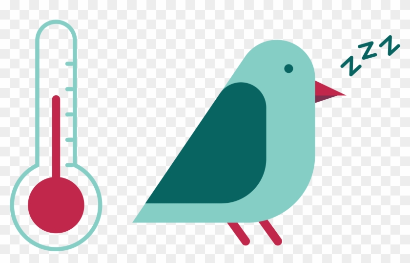 Fun Facts - Pdca Cyclus #715093