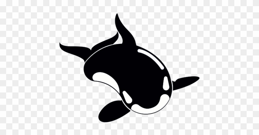 Norwegian Orca Survey - Killer Whale #715188