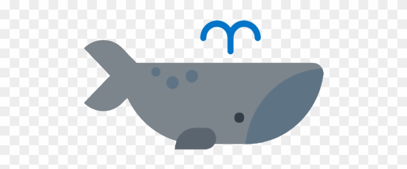 Recent Posts - Cetacea #715344