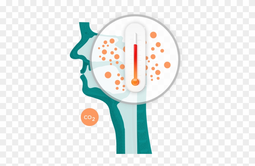 Co2 Levels In Your Throat Are Raised - Carbon Dioxide #715462