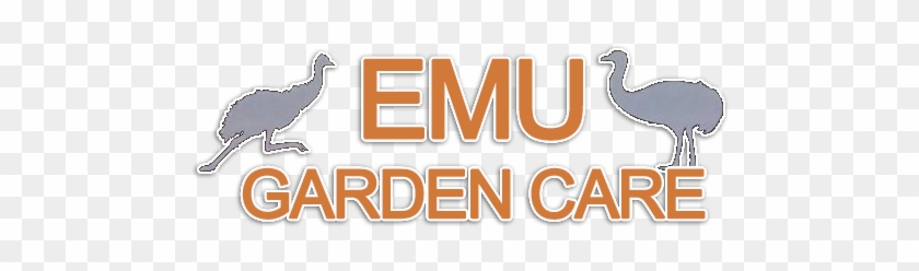 Lawn Mowing Reedy Creek - Reedy Creek #715493