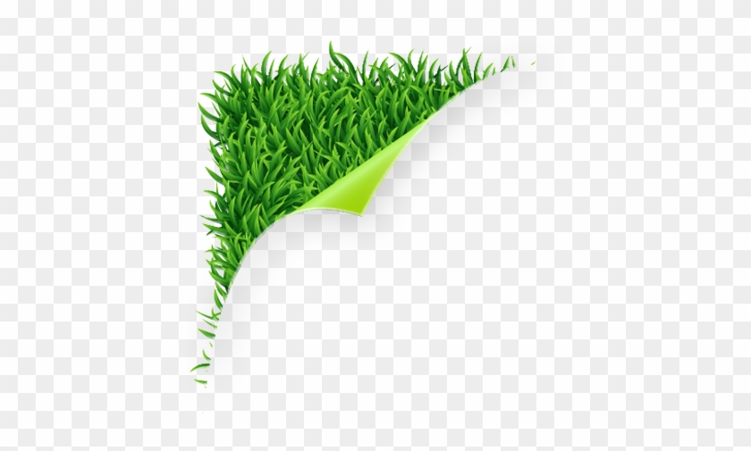 Corner Grass Png #715582