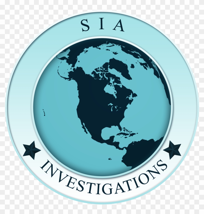 Sia Investigations - Hegemony: The New Shape Of Global Power - Trade Paperback #715727
