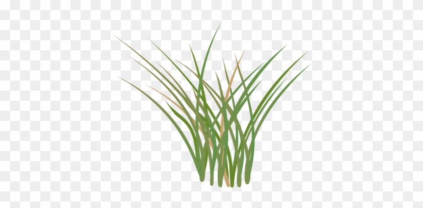 Drawn Lawn Marsh Grass - Salt Marsh Clip Art #715854