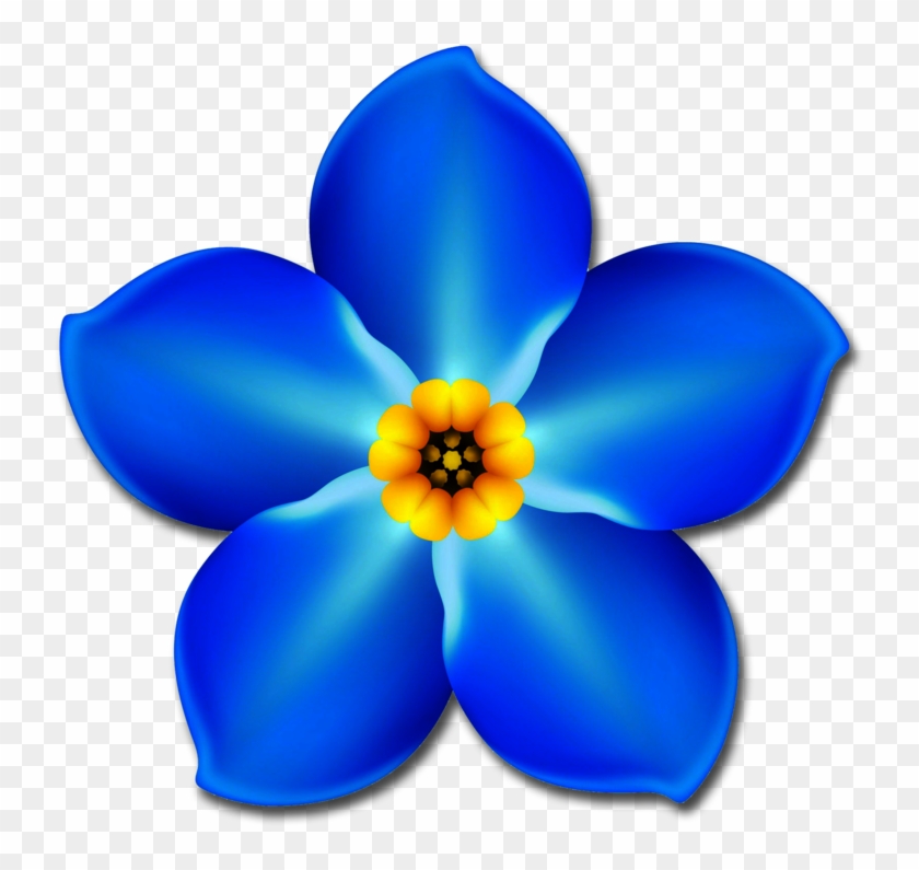 Just Click On The Button To The Left And Download Your - Forget Me Not Flower Transparent #715858