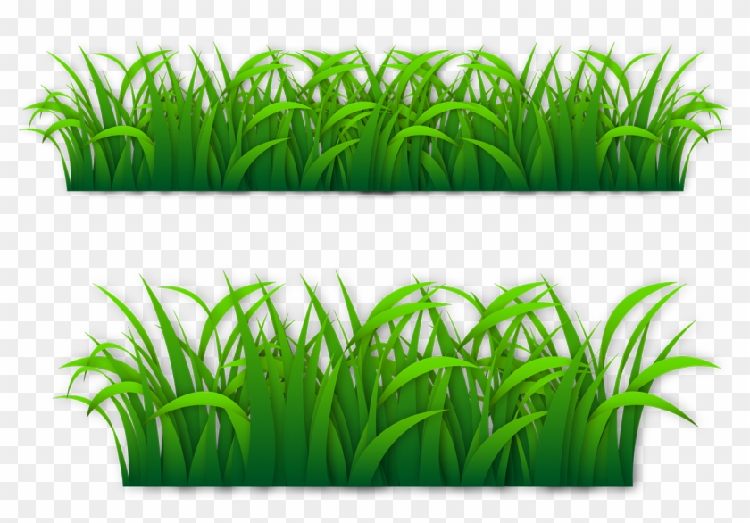 Euclidean Vector Grass Gis - Vector Graphics #715870