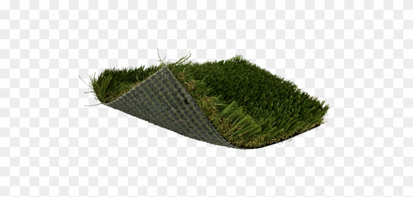 Synthetic Turf Product Soft Lawn Plush Zoysia - Lawngrass #715896