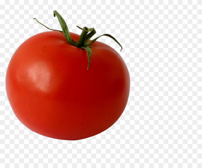 Bush Tomato Serving Size Diet Food - Bush Tomato Serving Size Diet Food #716666