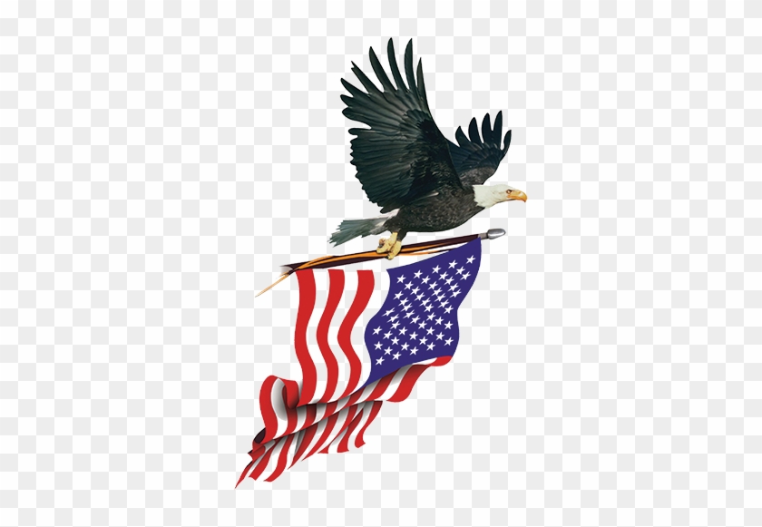American Flag With Eagle - Eagle Carrying American Flag #716532