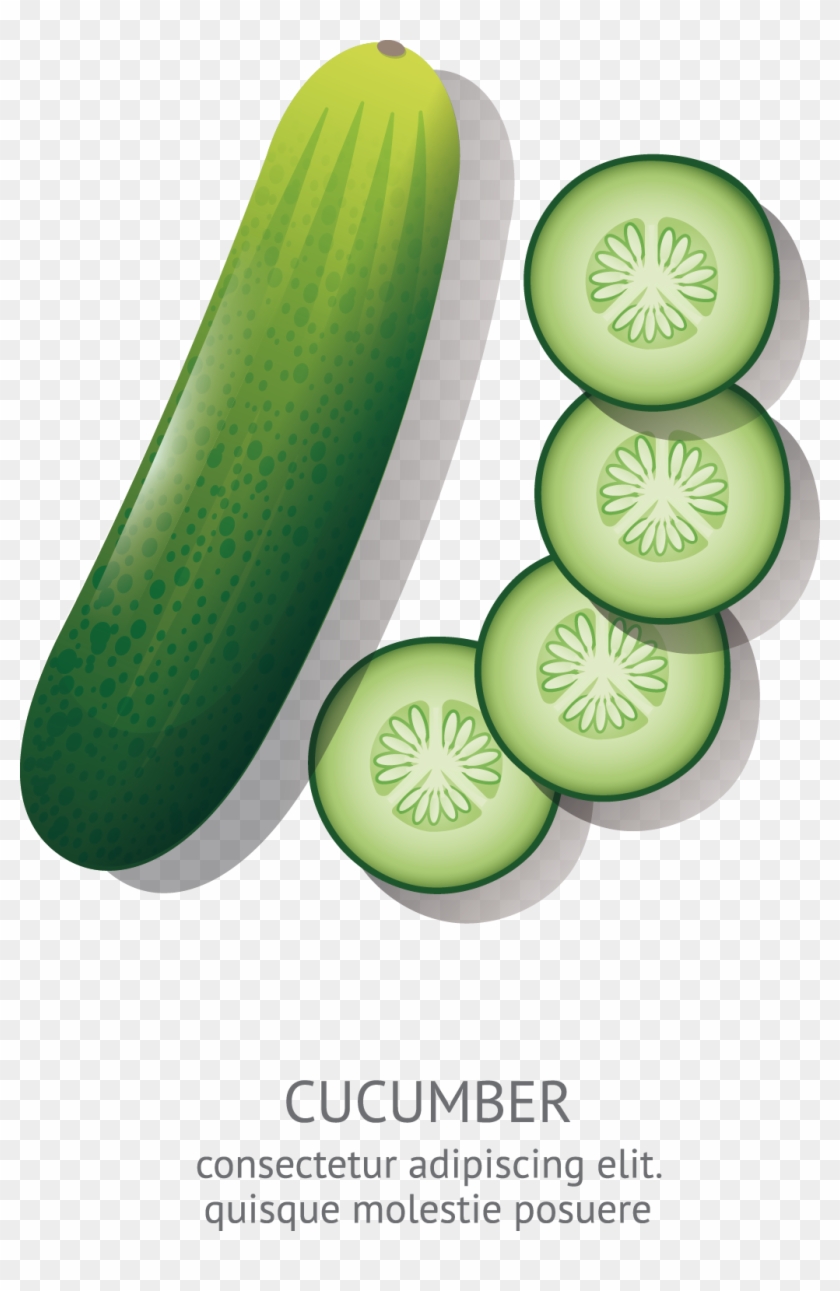 Cucumber Cartoon Animation Drawing - Cucumber Drawing #716629