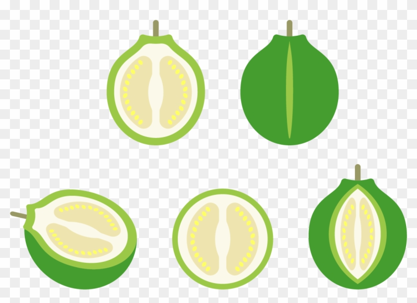 Lemon Euclidean Vector Icon - Lemon Euclidean Vector Icon #716761