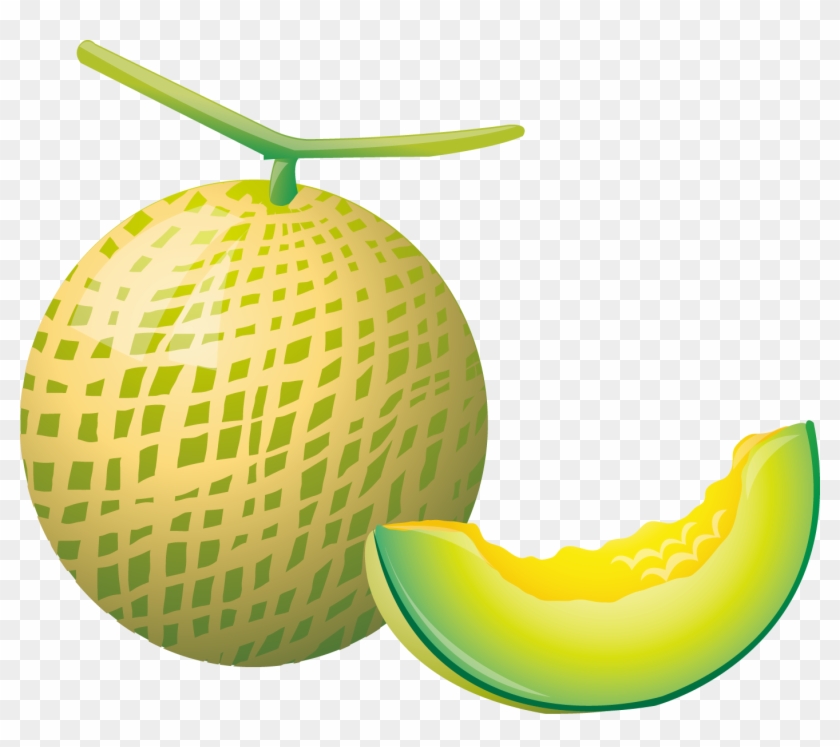 Cantaloupe Hami Melon Auglis - 哈密瓜 矢量 图 #716782