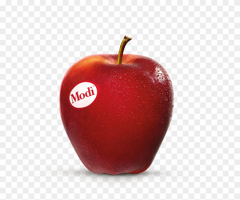 Modi Apple #716843