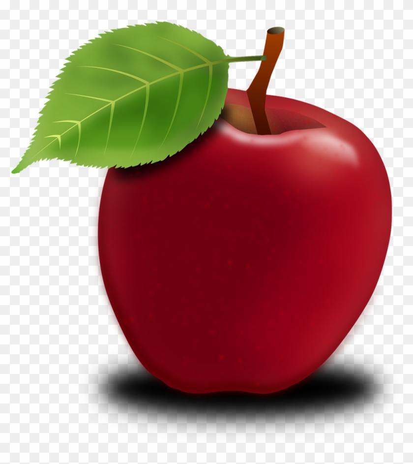 Apple Apple Tree Fruits Fruit Png Image - Apple #716848