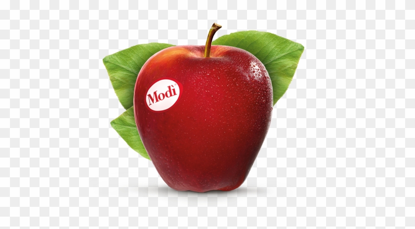 Modi Apple #716852