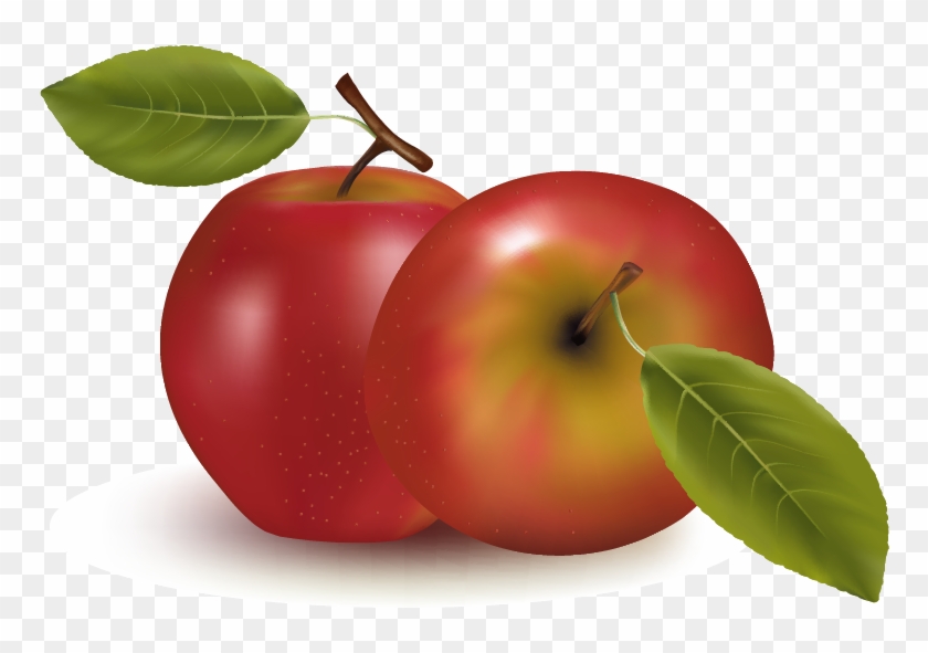 Orange Apple Apricot Cherry Plum Png Images - Clipart Transparent Background Apple #717019