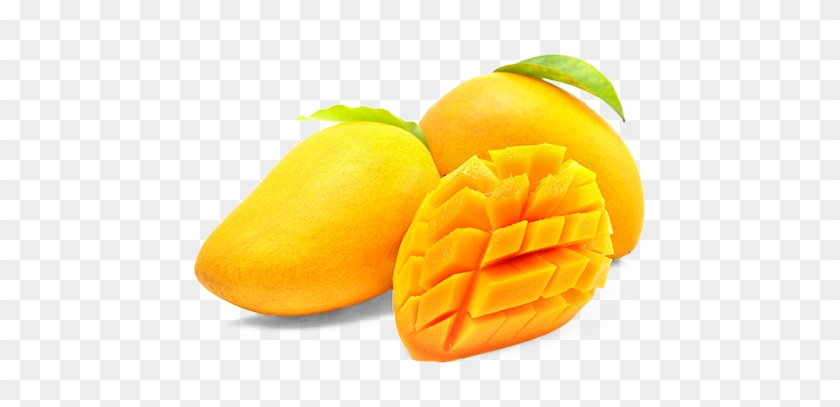Buy Fresh Totapuri Mangoes Online Home Delivery Naturally - Transparent Background Mango Png #717033