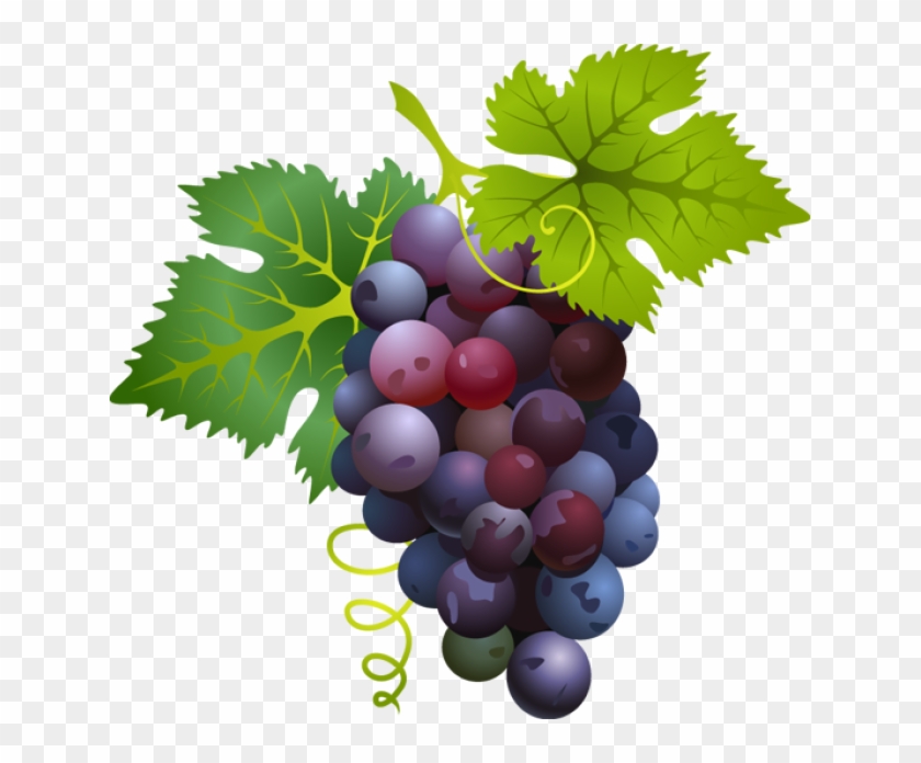 Pix For Red Grapes Clipart - Nutritional Value Of Grapes #717091