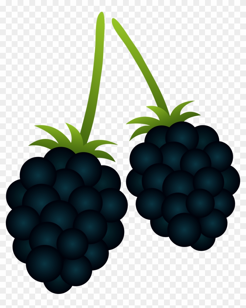 Marvelous Berry Clipart Two Blackberries Free Clip - Blackberry Clipart #717132