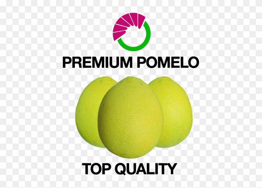 As A Wholesale Distributor, We Ensure That The Pomelos - Meldpunt #717146