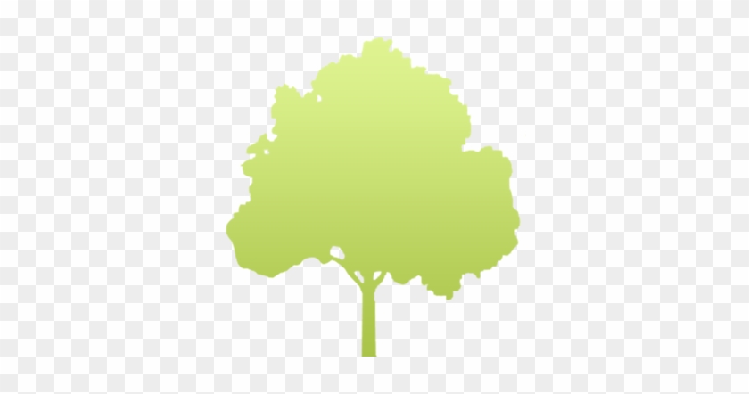 Prices Of Trees And Shrubs At Tooley's Trees And Delivery - Pro Tree Service #717193