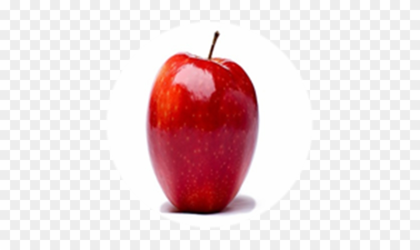 Oops I Fallen Into A Apple - Apple Fruit #717234