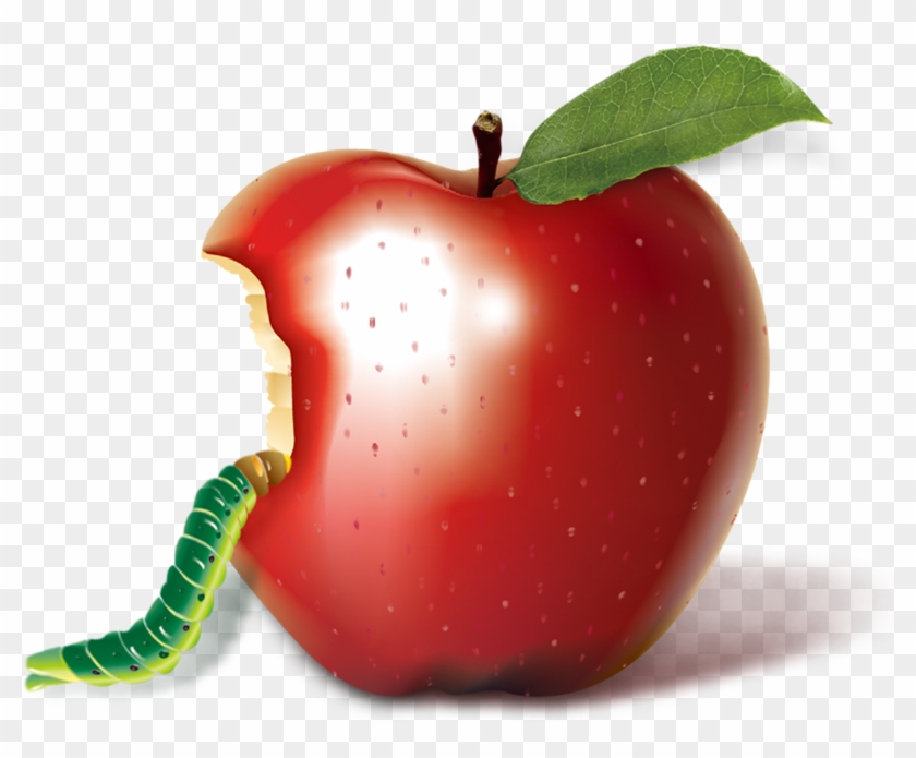 Apple On The Caterpillar 5159*6183 Transprent Png Free - Apple On The Caterpillar 5159*6183 Transprent Png Free #717753