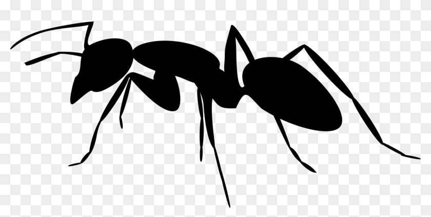 Composite Ant - Ant Silhouette #717292