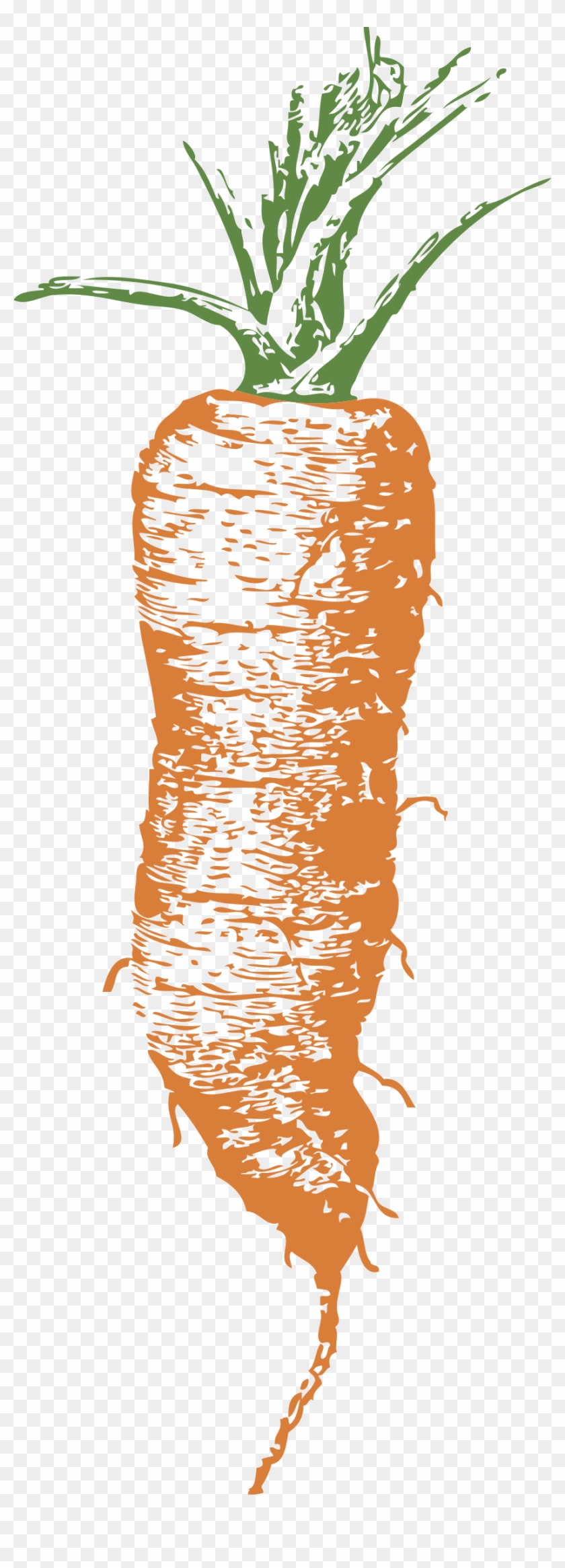 Big Image - Carrot #717360