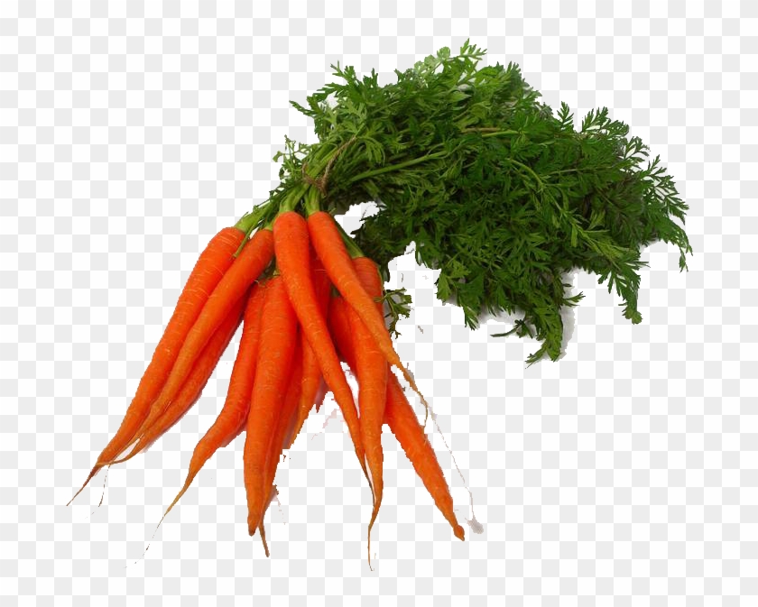 Carrot Clipart Leave - Transparent Vegetables Png #717369