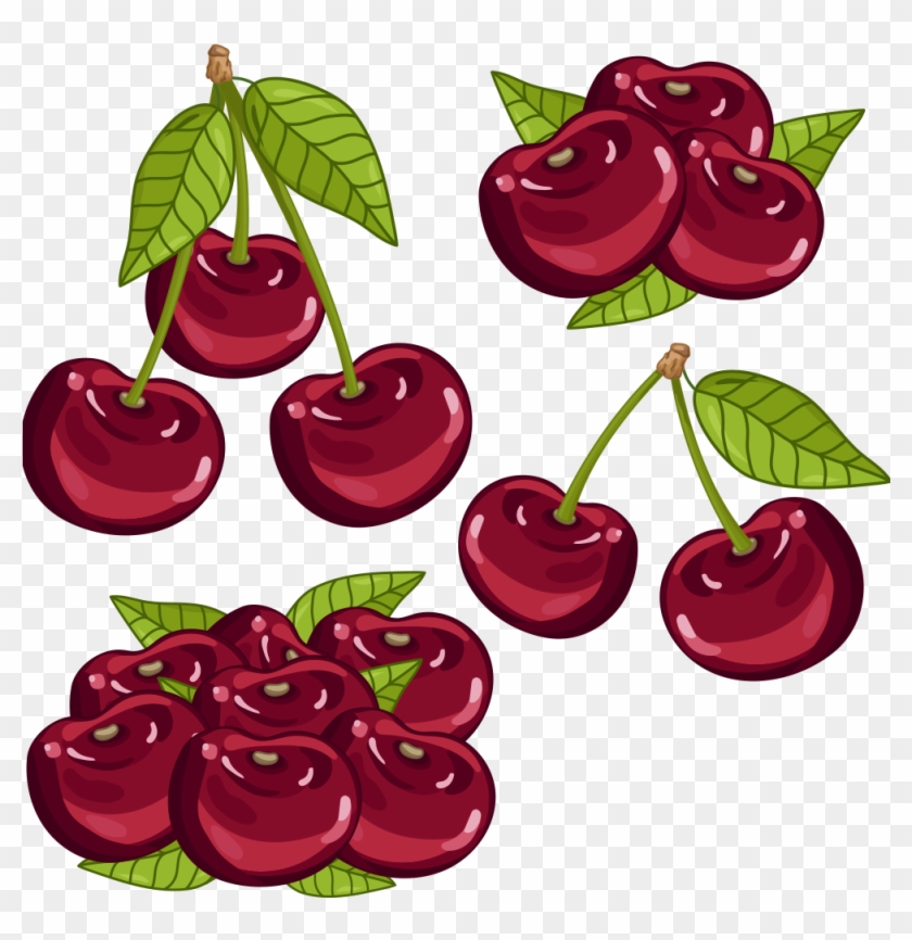 Cherry Auglis Cartoon - Цветы И Плоды Вишни Вектор #717402