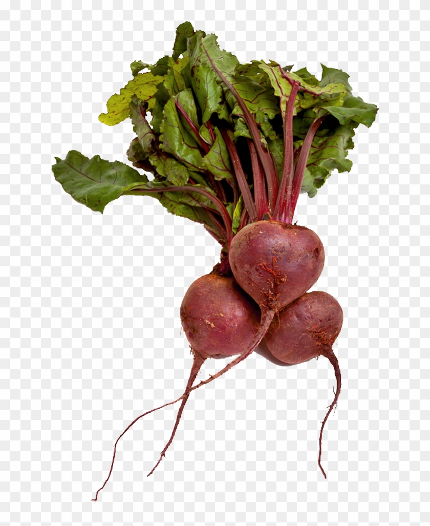Beet Png Images Free Download - Bio Randen Rot Bund Schweiz #717408