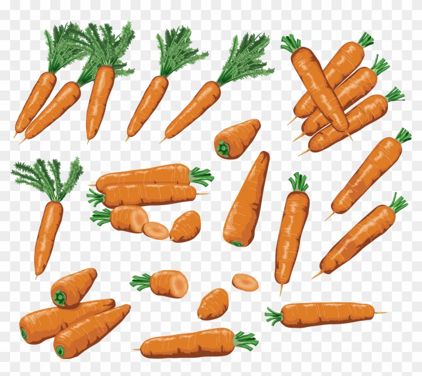 Carrots Png Image - Carrot #717440