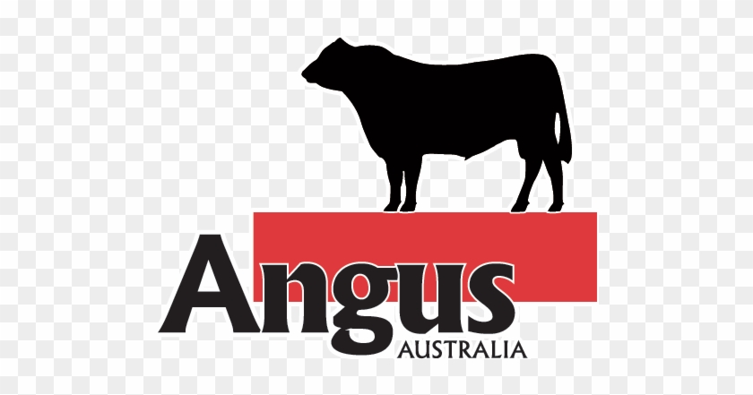 Angus Australia Logo Colour - Angus Australia #717525