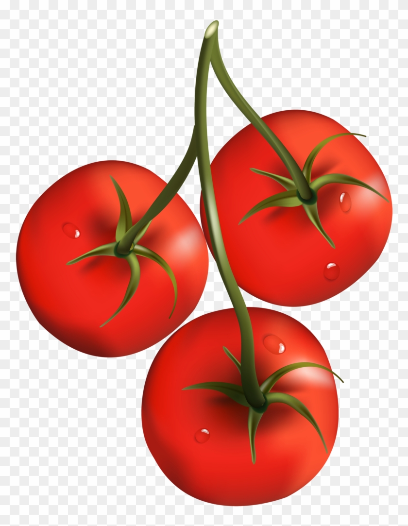 Tomato Branch Png Clipart - Cherry Tomato Clip Art #717524