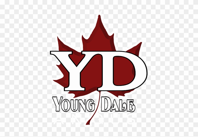Dale Young Angus Farm #717572