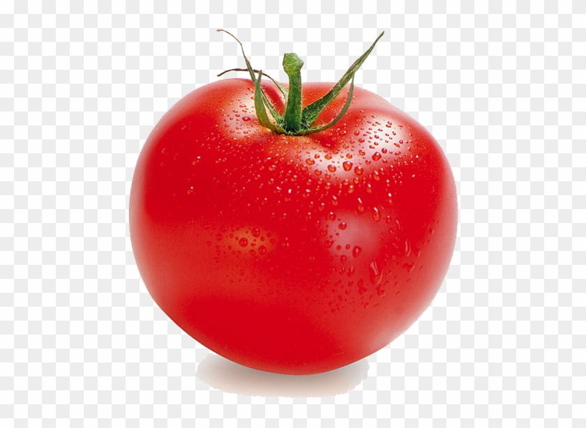 Download Free Transparent Png Image - Tomato Illustration #717586